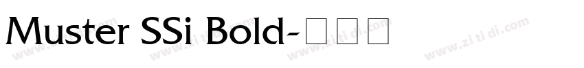 Muster SSi Bold字体转换